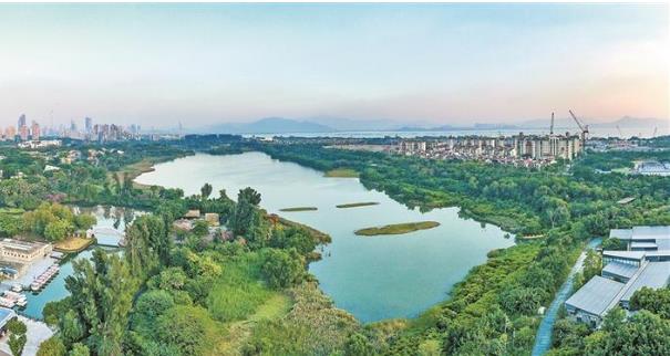 深圳面向2035高質量編制國土空間總體規(guī)劃