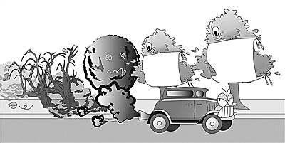 省生態(tài)環(huán)境廳、省公安廳來我市調(diào)研機(jī)動車污染防治工作