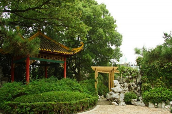 如何讓土地“變肥”，讓樹(shù)苗“夠吃”？