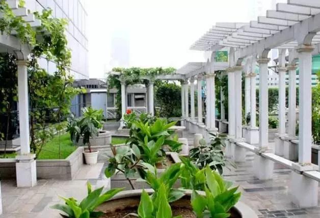 湖北凱蒂園林告訴你園林綠化工程主要包含哪些內(nèi)容？