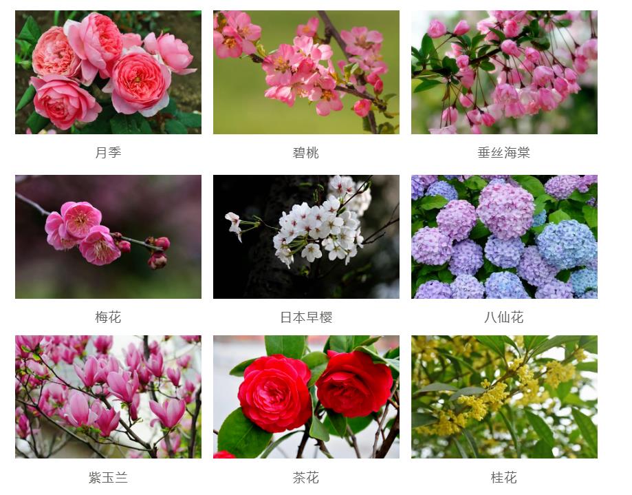 園林景觀工程如何節(jié)約成本？